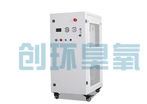 西藏石斑鱼养殖水质调控完整指南：臭氧发生器配置与操作步骤