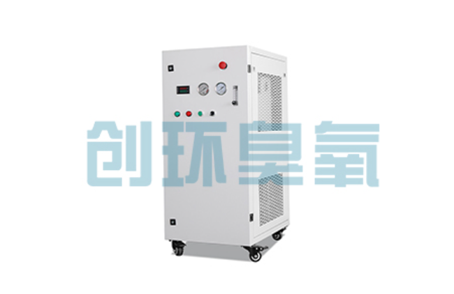 西藏比传统换水更高效？臭氧发生器在石斑鱼养殖中的水质净化原理解析